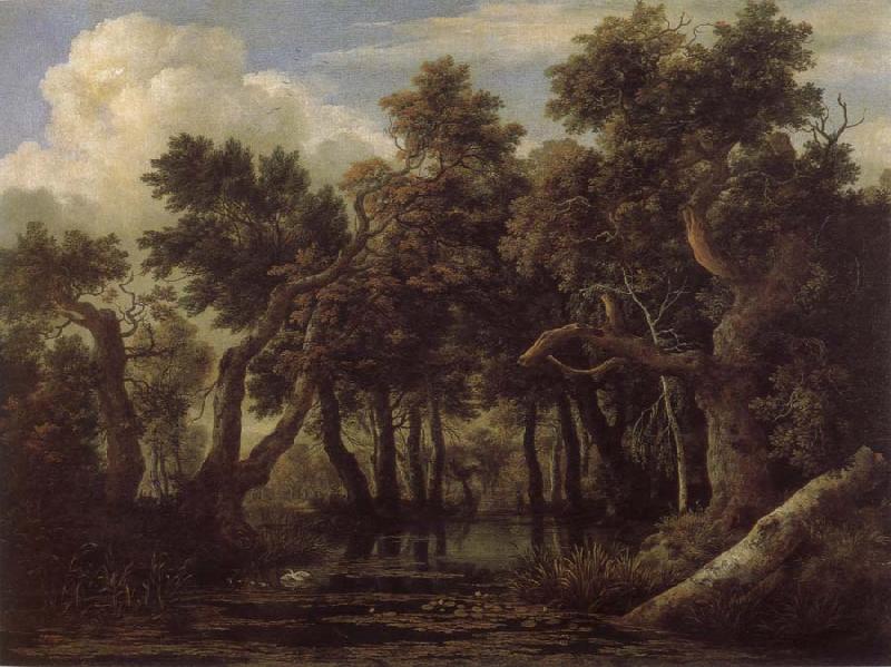 Jacob van Ruisdael Marsh in a Forest France oil painting art